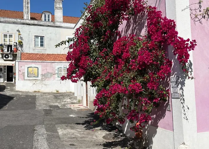 Casa Cor De Rosa