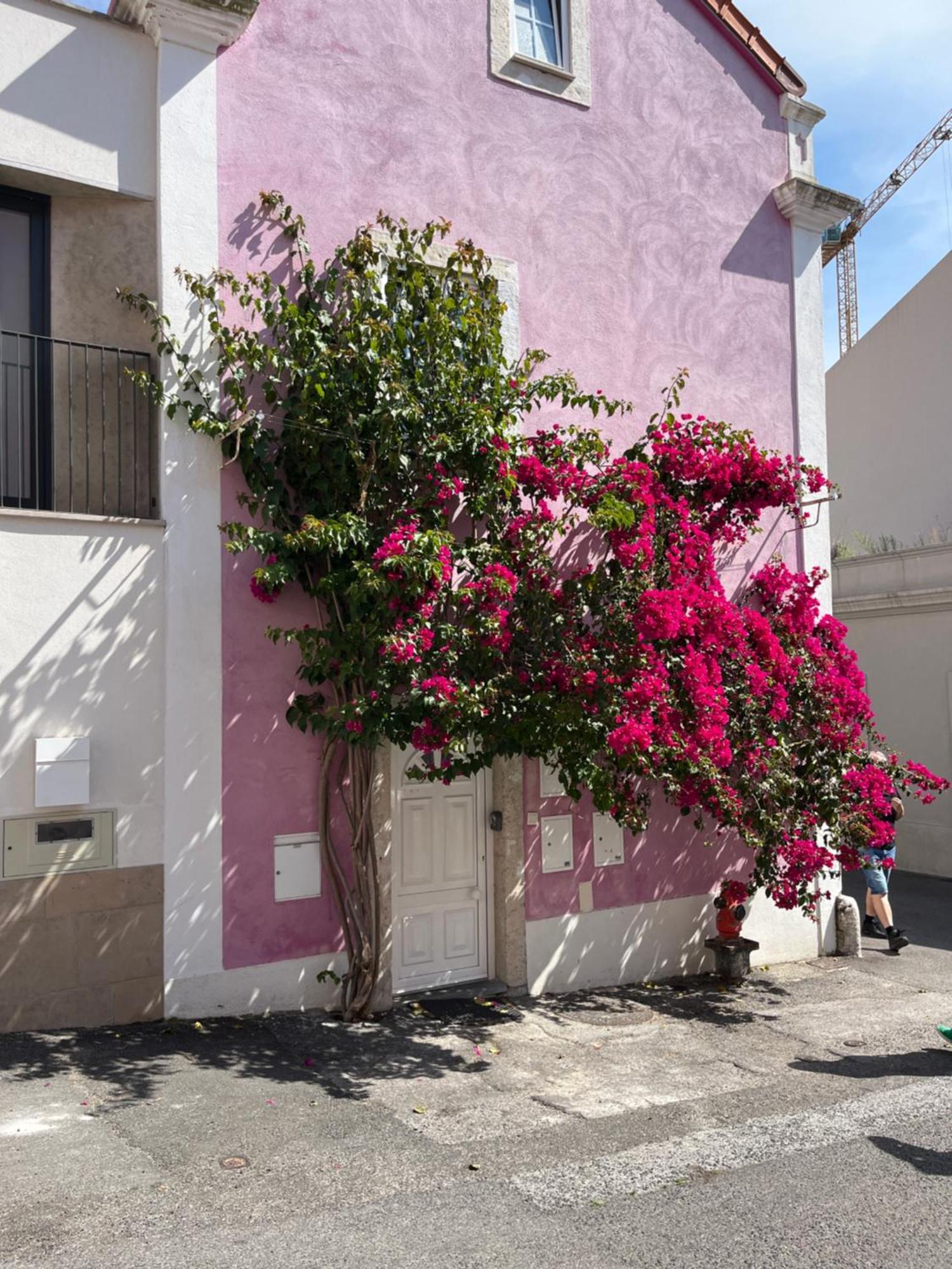 Appartement Casa Cor De Rosa Lissabon