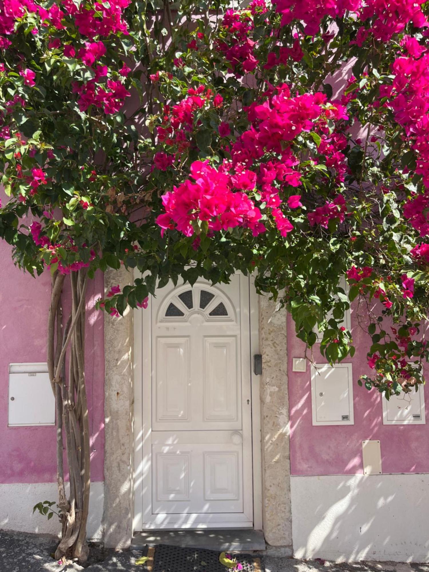 Casa Cor De Rosa Apartment *